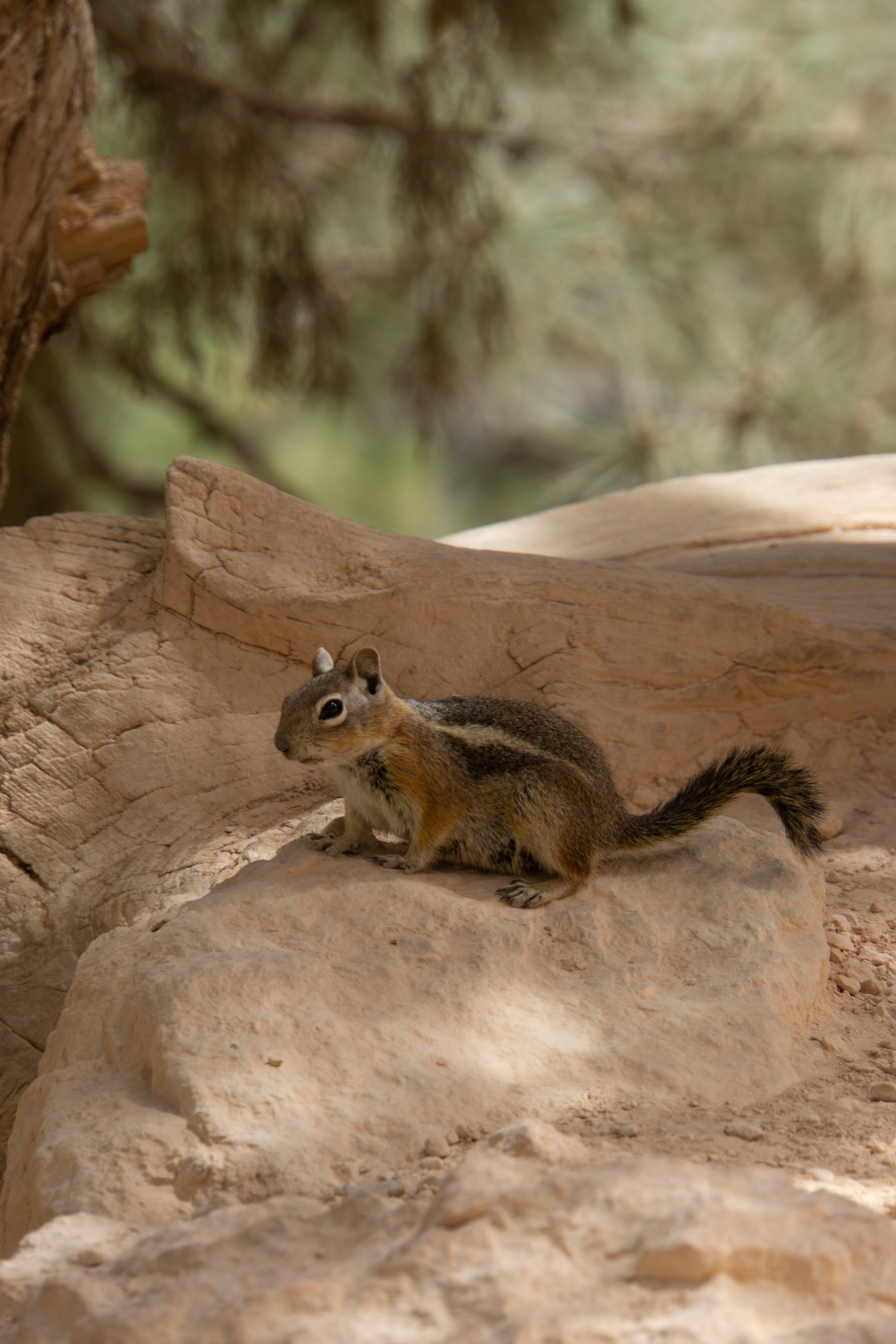 US National Parks 2022 15